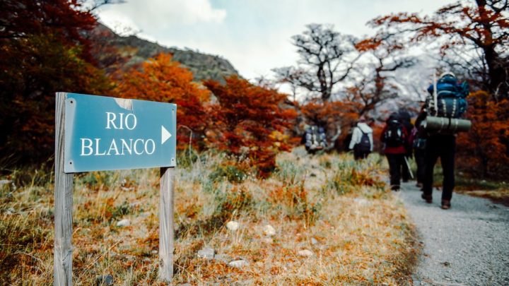 Grupo de senderistas consultando un mapa en un sendero señalizado de un parque nacional argentino.