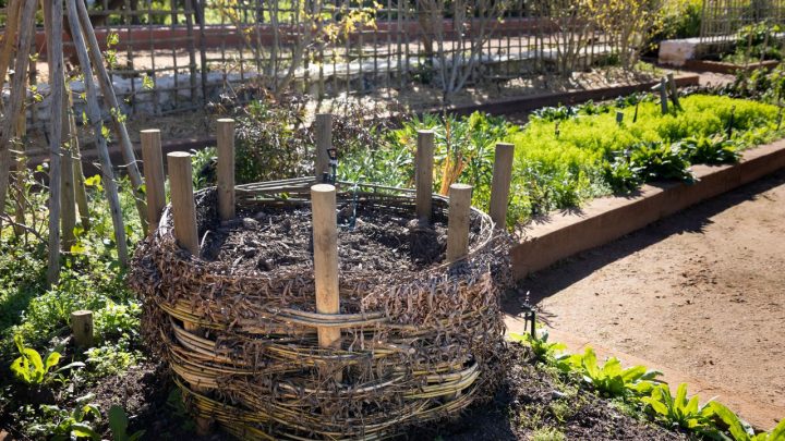 Compostera doméstica con restos vegetales secos y húmedos en un patio urbano.