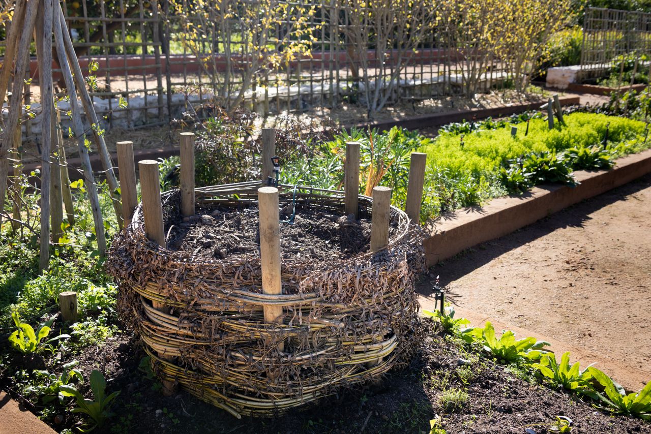 Compostera doméstica con restos vegetales secos y húmedos en un patio urbano.
